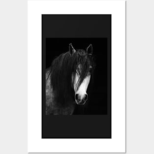 Wild Horses, White horse, Horse print, Horse art, Wall art, Wall decor, Trendy print, Animal print, Interior Posters and Art